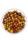 Premium Quality Boilie Halas Fűszeres 3 Kg